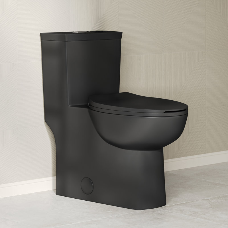 Toilette brute une pièce à double chasse 1,1 / 1,6 GPF de 12 po Classe Mat
