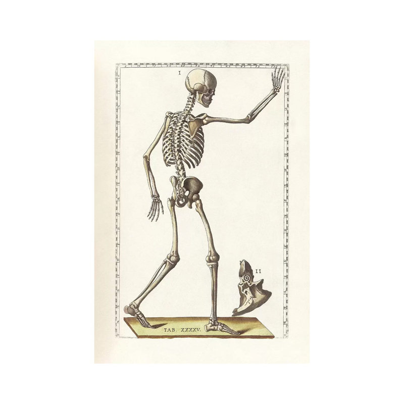 «The Science of Human Anatomy VI» par National Library of Medecine, impression sur toile tendue, H 26 po x l 18 po x P 1,5 po