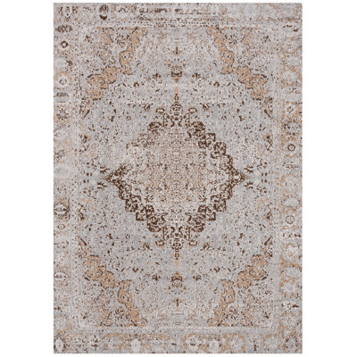 Chenault Performance Oriental Rug