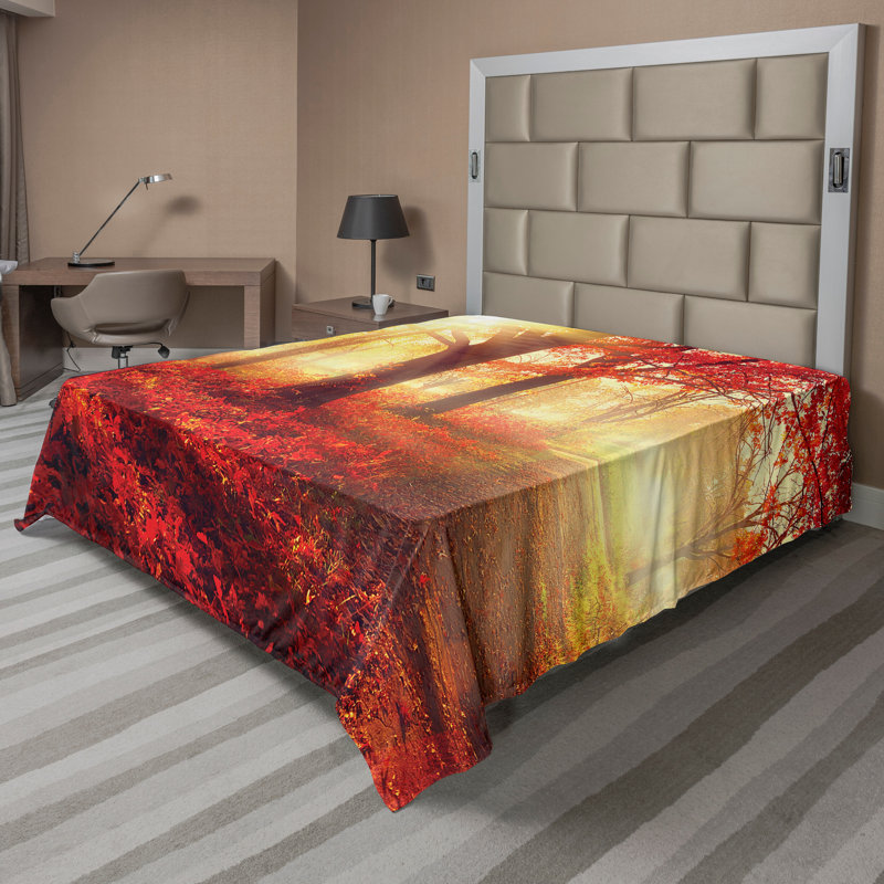 Drap-housse Ambesonne
