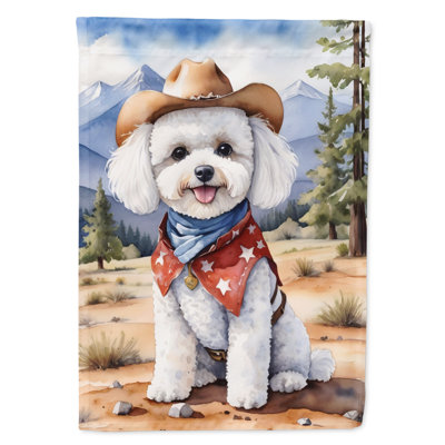 Drapeau Cowboy Welcome House