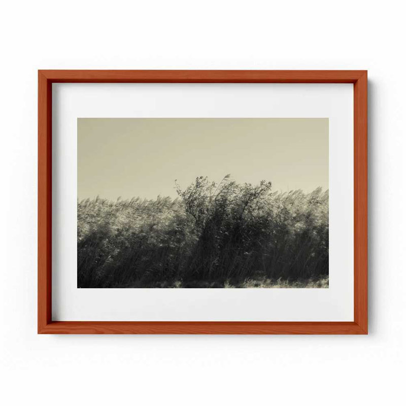 The Summer Wind Print by Joseph Regan, Cherry, 22" H x 26" W x 0.75" D