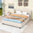 Elester Queen Upholstered Platform Bed with Twin Trundle and Drawers-1609493037