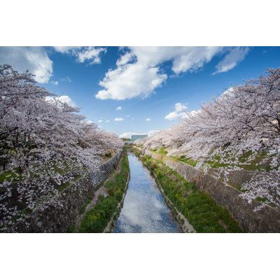 Sakura Place In Japan - Wrapped Canvas Print