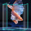 Réservoir d'aquarium 100 à 110 gallons-130084381-130084383