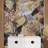 Peel & Stick Border-100665925