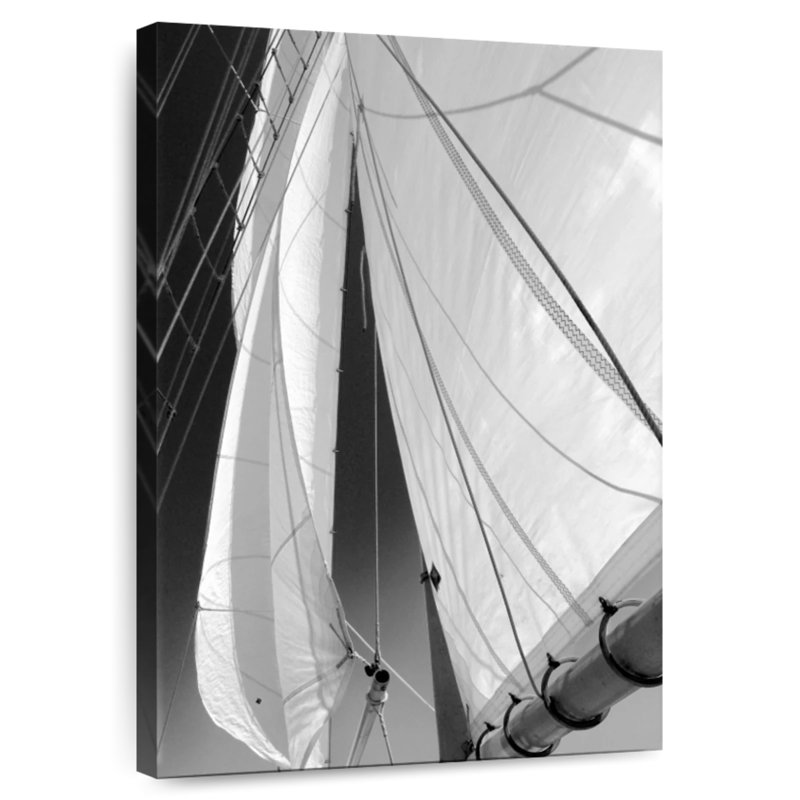Sailboat sails florida Aletra, H 51 po x l 34 po