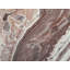 MUD Print by Will Birdwell-65851612-132435381