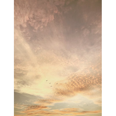 Skyward Glow Wall Mural