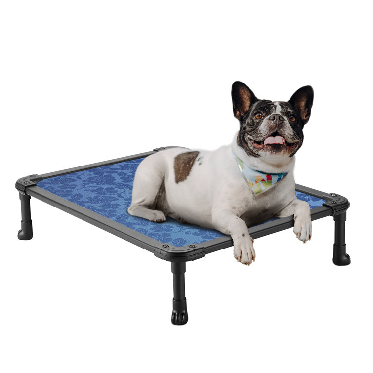 Wayfair  Chew Resistant Dog Beds