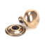 Oval Mushroom Knob-51984239-73711339