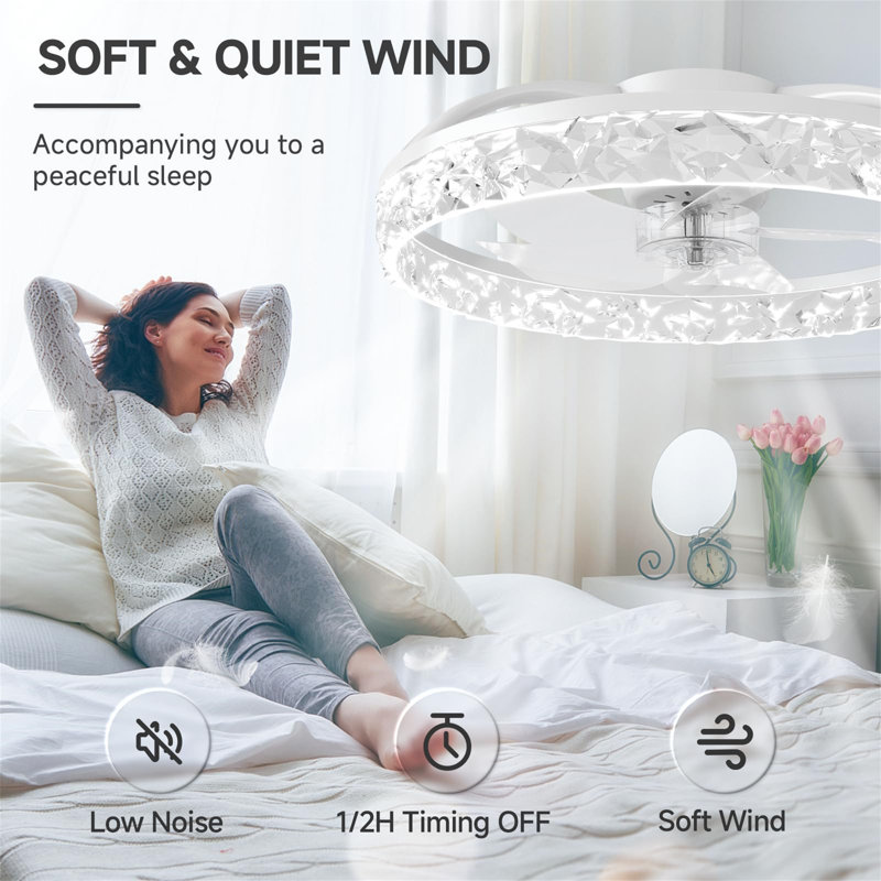 Ceiling Fan with LED Lights, Clear