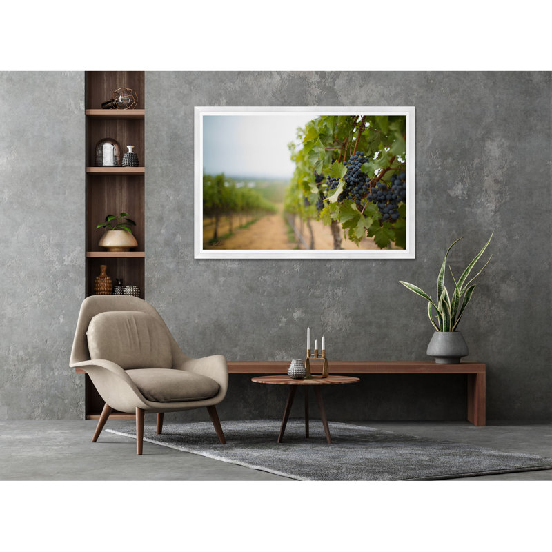 Architecture Collection " Grapes in the Vineyard " Color Photography Print, 35.5" H x 54.75" W x 1.5" D, White