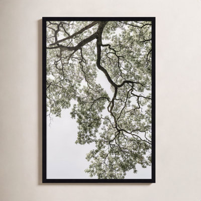 Pleasantville "Coastal Forest" Print