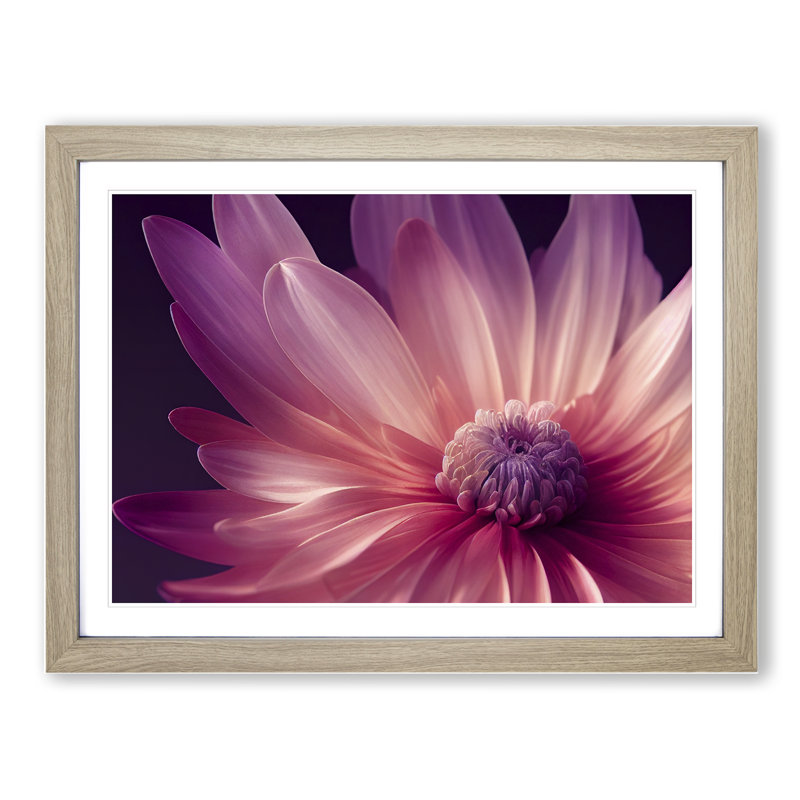 Cute Chrysanthemum Flower Vol.4 - Framed Print, 46cm H x 64cm W x 2cm D, Oak
