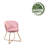 18.91'' H Velvet Upholstered Armchair-972441174-982052948
