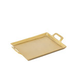 Aluminum Tray