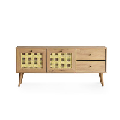 Shamong TV Stand