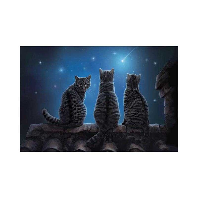 Wish Upon A Star by Lisa Parker - Wrapped Canvas Print, 20.32 cm H x 30.48 cm W