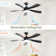 Whisper 52" 5 ABS Blade Propeller Classic Ceiling Fan with LED Lights and Remote Control