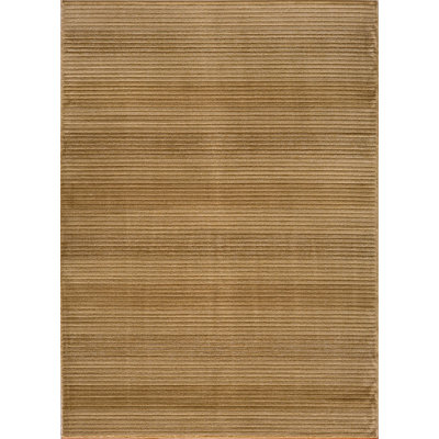 Striped Indoor Rug