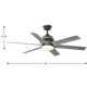 Plympt 56'' 6 Blade Ceiling Fan with LED Light Kit