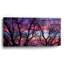 «Sunrise In The Trees» par Darren White-592751964