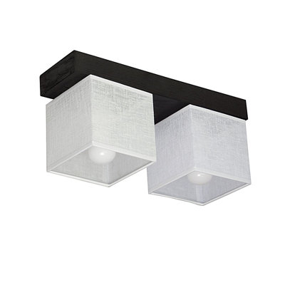 Partee Semi Flush Mount