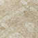 Ivalina Floral Indoor / Outdoor Rug