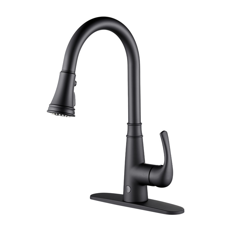 Robinet de cuisine rétractable à poignée simple avec accessoires, Noir mat