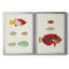 Colorful Tropical Fish I - ensemble de 2 reproductions d'art sur toile-1102423570-1102423569