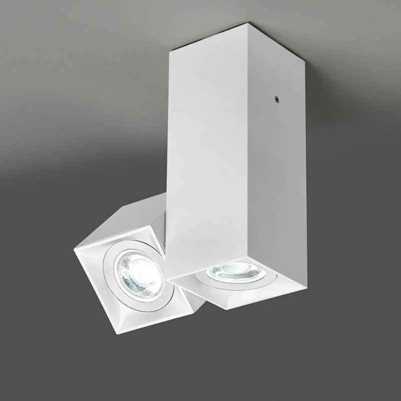 Dau 2-Light Spotlight