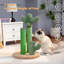 Grattoir pour chat Oasis Series