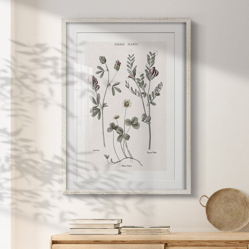 Impasto IV -Gallery Wrapped Canvas