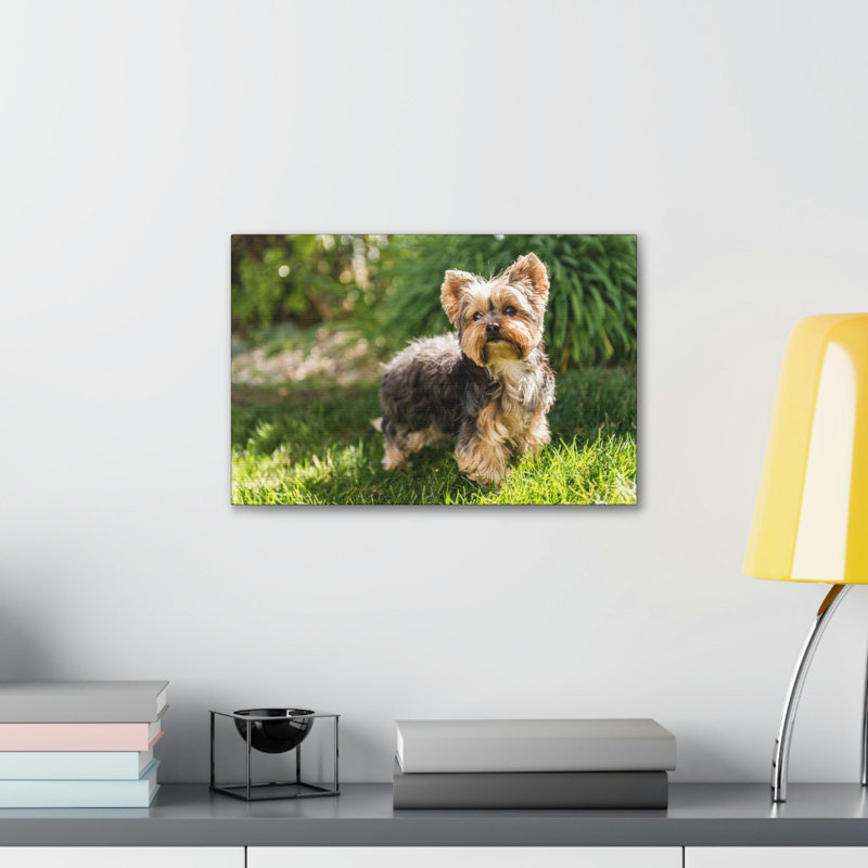 No Frame Print on Canvas, 27.94cm H x 35.56cm W
