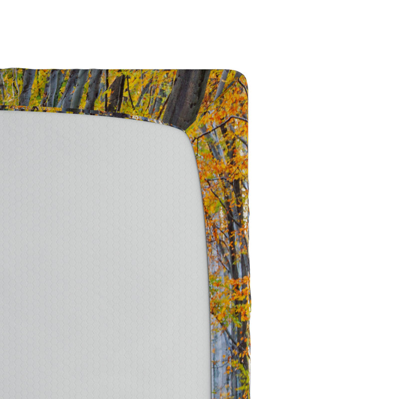 Microfiber Fitted Sheet, Twin XL Fitted Sheet