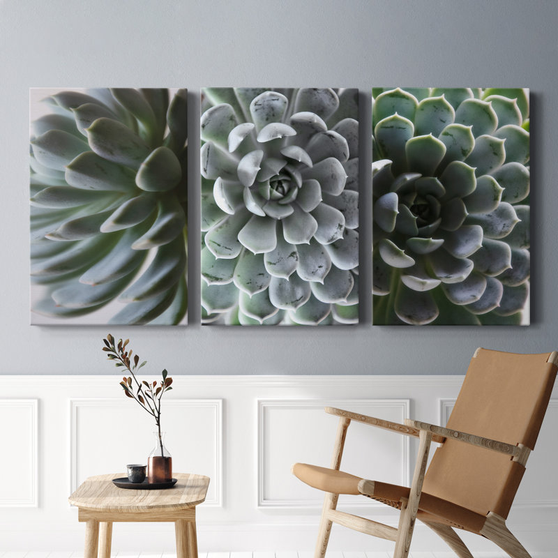 Zen Succulent I - Ensemble de 3 reproductions sur toiles tendues, H 36 po x l 72 po x P 1 po