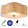 Alonza Flush Mount