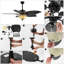 Emmabeth 52'' Ceiling Fan with Light Kit-1827438141