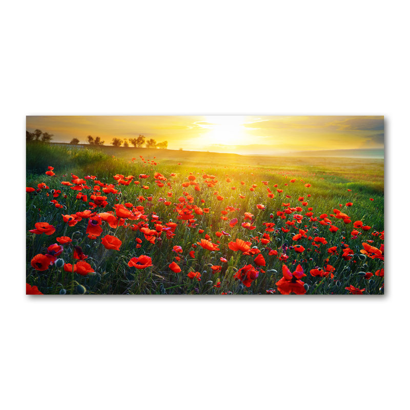 Field Of Poppies - Wrapped Canvas Print