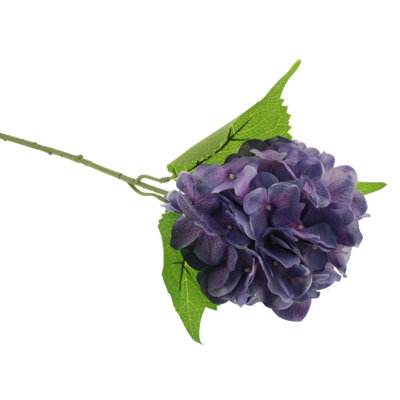Hydrangea Arrangement
