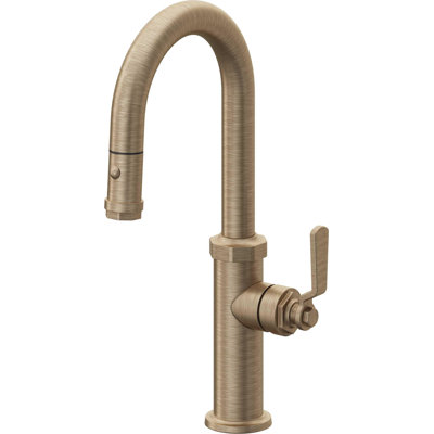 Pull-Down Prep/Bar Faucet With Button Sprayer