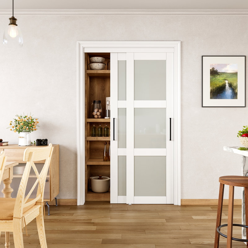 48 in. x 80 in. White Tempered Frosted Glass Sliding Closet Door