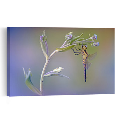 Delicate Dragonfly Moment Delicate Contemporary Dragonfly Flower Nature Wall Art Print 1 Piece Wrapped Canvas Wall Art