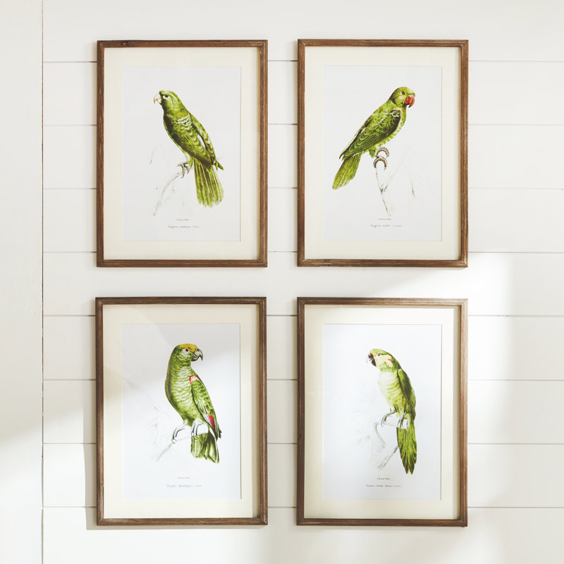 Illustration de perroquet en vert