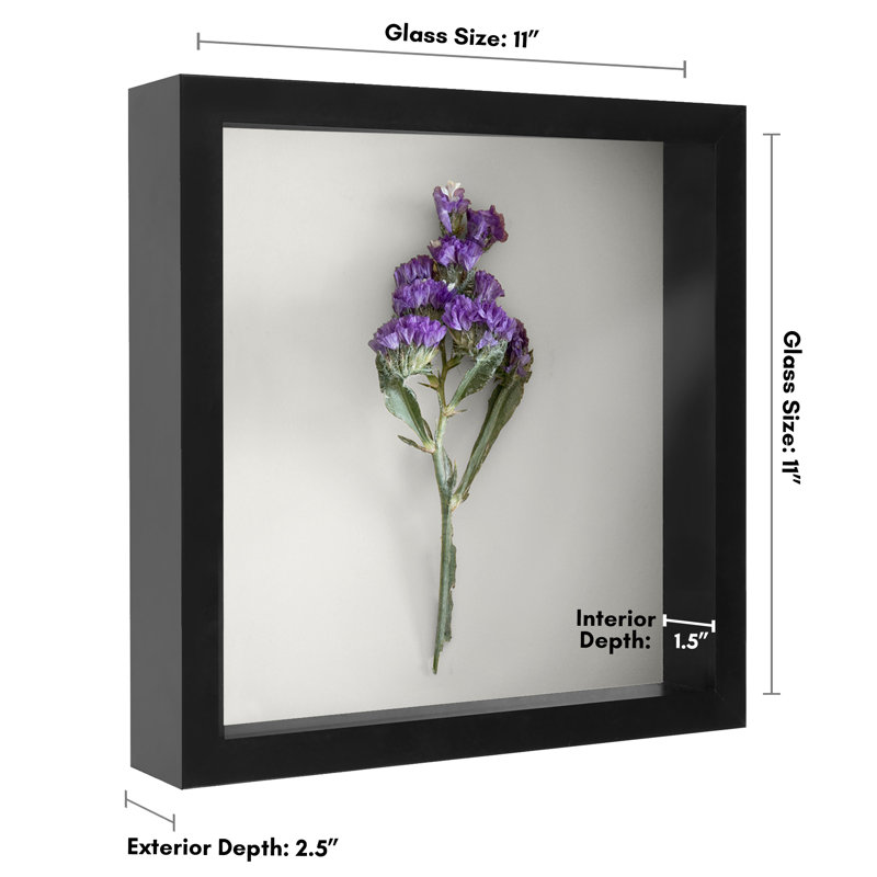 Cadre Delboxillo Shadowbox de 1,5 po de profondeur pour objets avec façade en verre, Noir, L 11 po x H 11 po