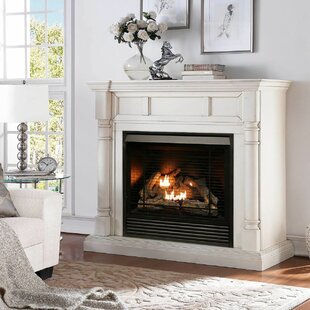 https://assets.wfcdn.com/im/34208867/resize-h310-w310%5Ecompr-r85/1331/133147272/Dual+Fuel+Ventless+Natural+Gas+Fireplace.jpg