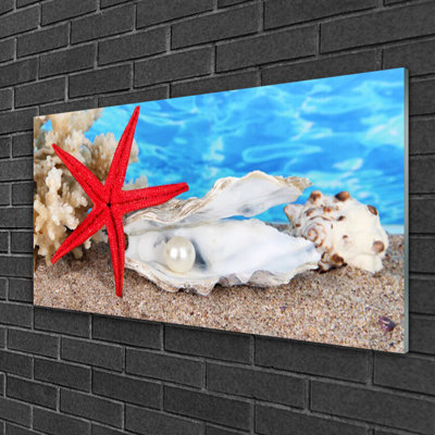Glass Print Wall Art 100X50cm Image Printed On Glass Decorative Wall Picture Behind Toughened / Tempered Safety Real Glass For Kitchen & Living Room Theme: Starfish Shells Nature