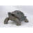Tortoise Statue