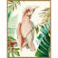«Tropical Bird I» par Aimee Wilson, reproduction d'art sur toile encadrée-109556495